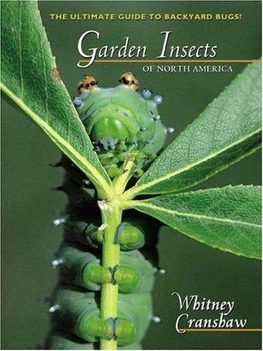 GARDEN INSECTS OF NORTH AMERICA: ULTIMATE GUIDE TO BACKYARD BUGS.