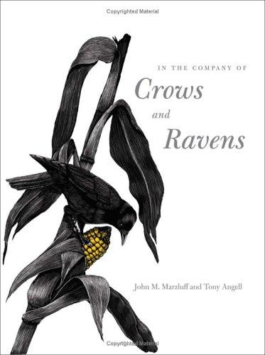 IN THE COMPANY OF CROWS AND RAVENS.