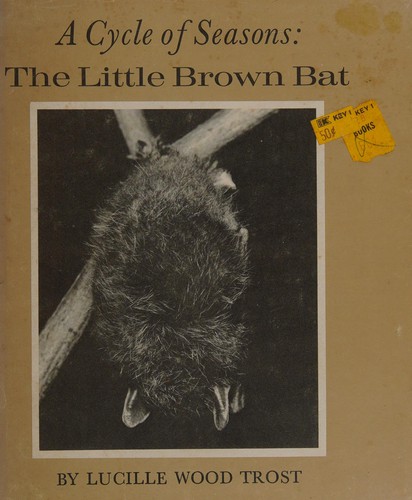 A cycle of seasons: the little brown bat.