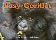 Busy gorillas 