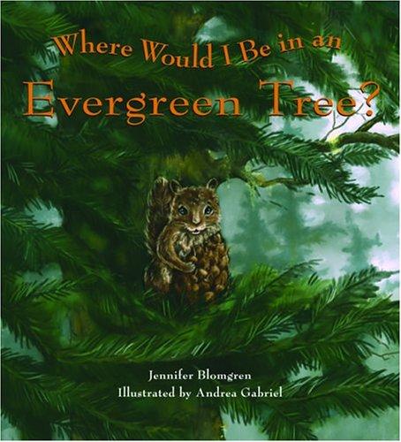 Where would I be in an evergreen tree? 