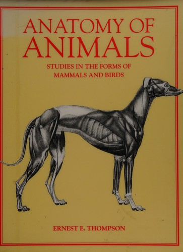 Anatomy of animals : studies in the forms of mammals and birds 