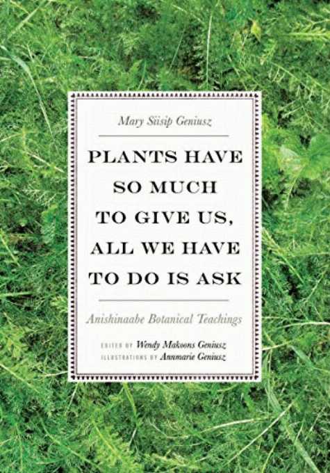 Plants have so much to give us, all we have to do is ask : Anishinaabe botanical teachings 