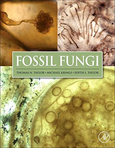 Fossil fungi 