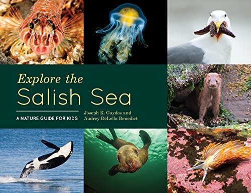 Explore the Salish Sea : a nature guide for kids 