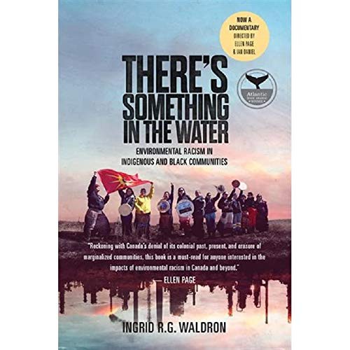 There's something in the water : environmental racism in indigenous and black communities / Ingrid R.G. Waldron.