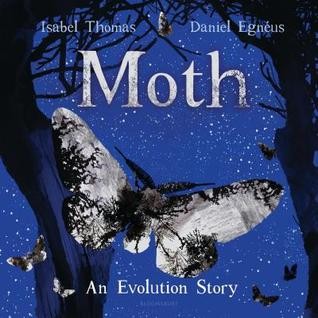 Moth : an evolution story 