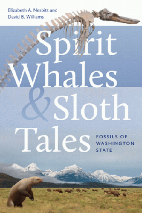 Spirit whales & sloth tales : fossils of Washington state / Elizabeth A. Nesbitt and David B. Williams.
