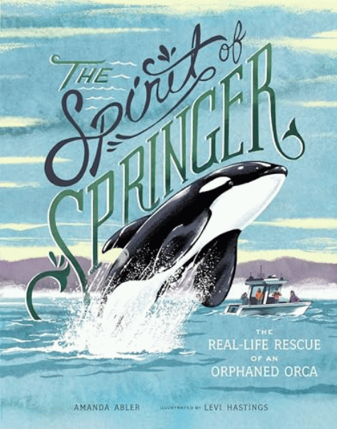 The spirit of Springer : the real-life rescue of an orphaned orca / Amanda Abler ; illustrated by Levi Hastings.