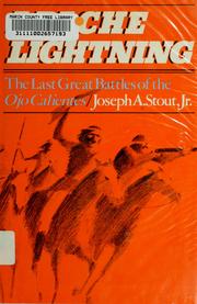 Apache lightning : the last great battles of the Ojo Calientes  Cover Image