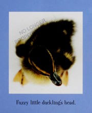 Baby nose to baby toes  Cover Image