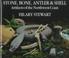 Go to record Stone, bone, antler & shell : artifacts of the Northwest c...