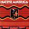 Go to record Native America : arts, traditions, and celebrations
