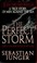 Go to record The perfect storm : a true story of men against the sea
