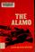Go to record The Alamo
